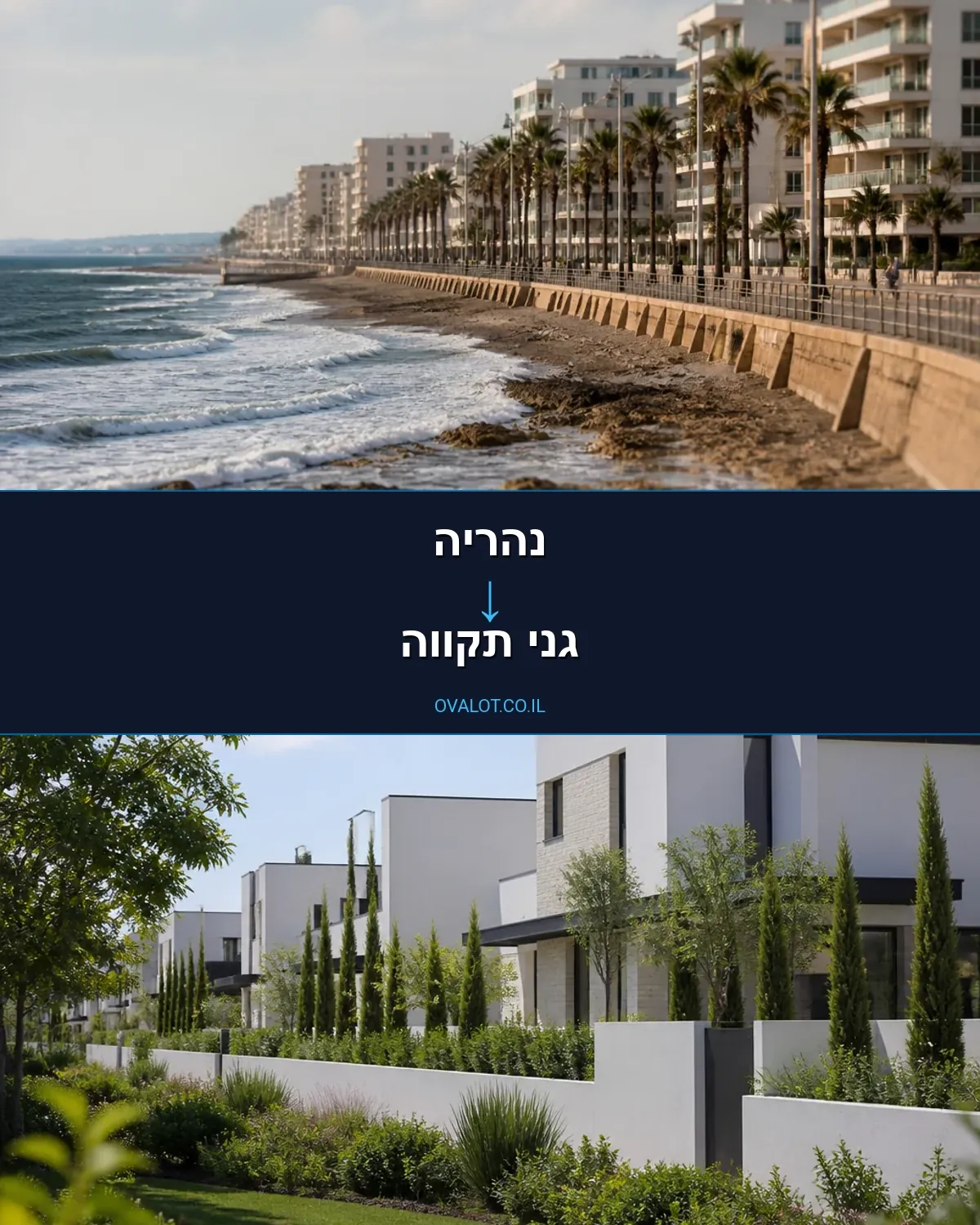 הובלות עם מנוף מנהריה לגני תקווה