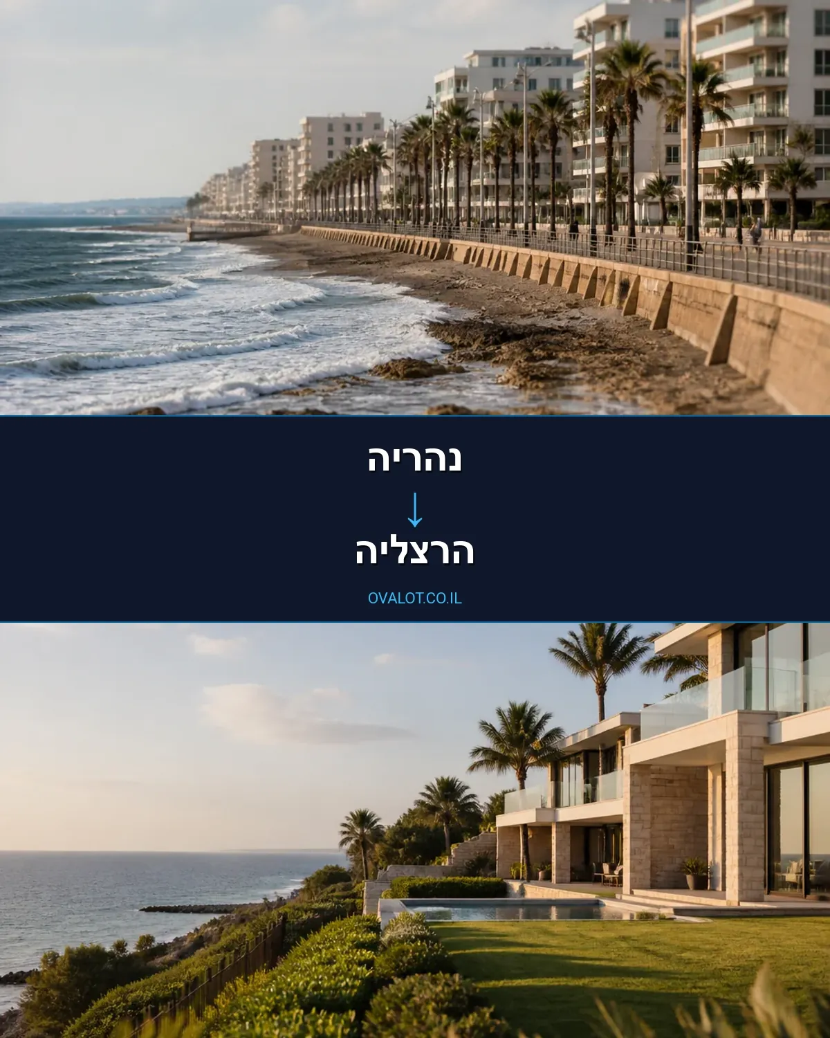 הובלות עם מנוף מנהריה להרצליה