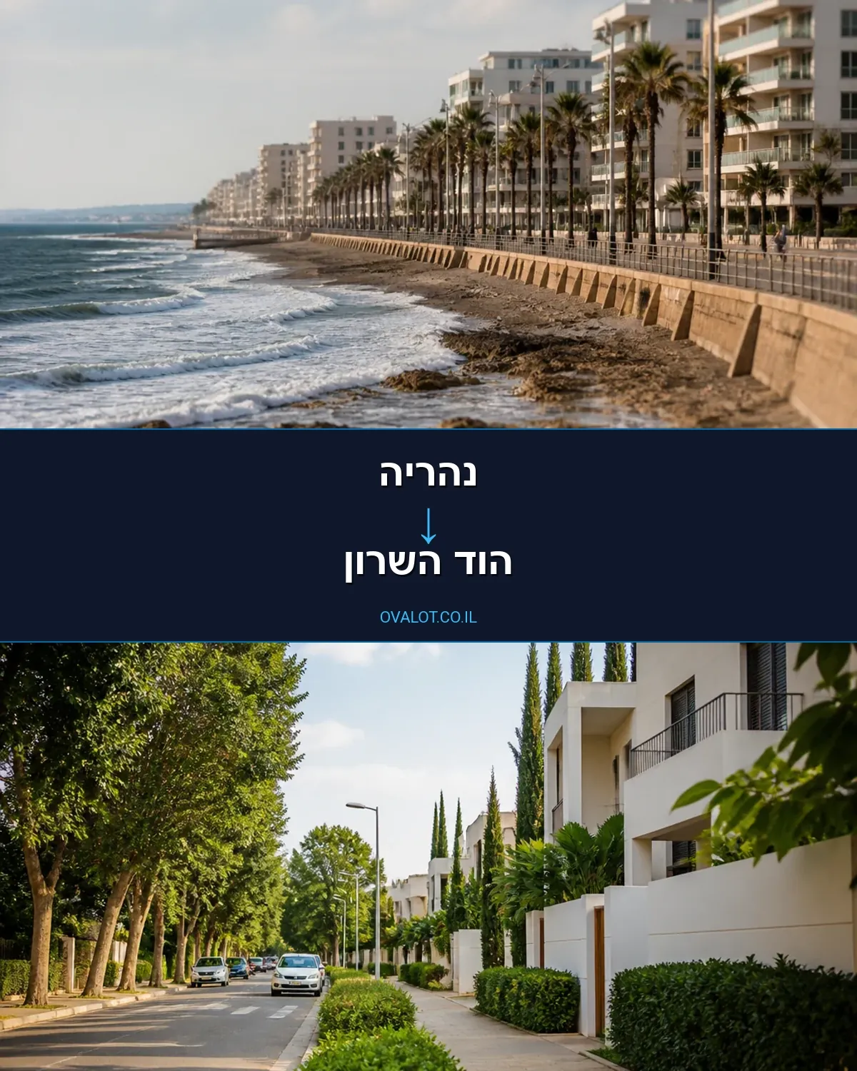 הובלות עם מנוף מנהריה להוד השרון