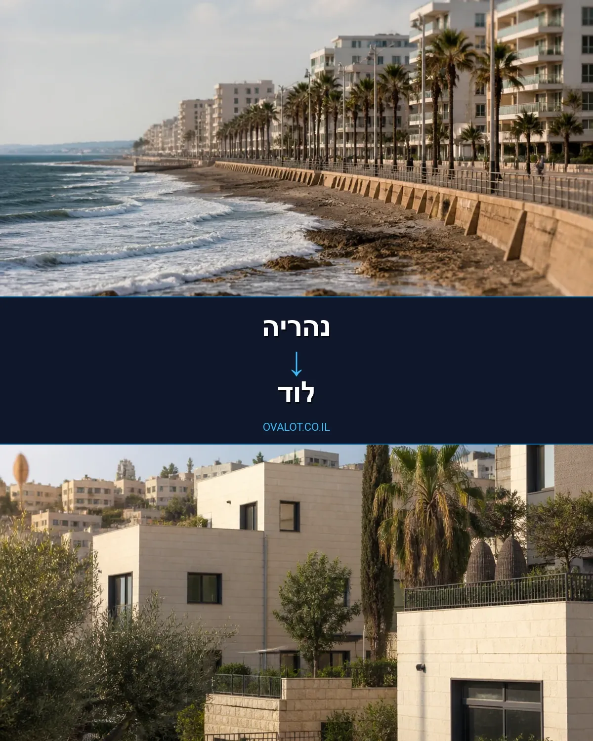 הובלות יצירות אמנות מנהריה ללוד