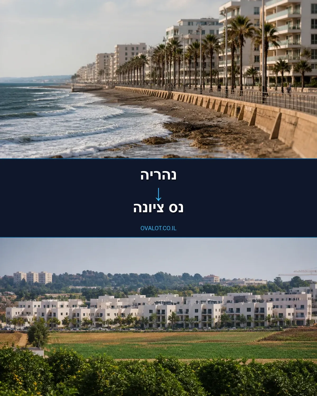 הובלות דירה מנהריה לנס ציונה