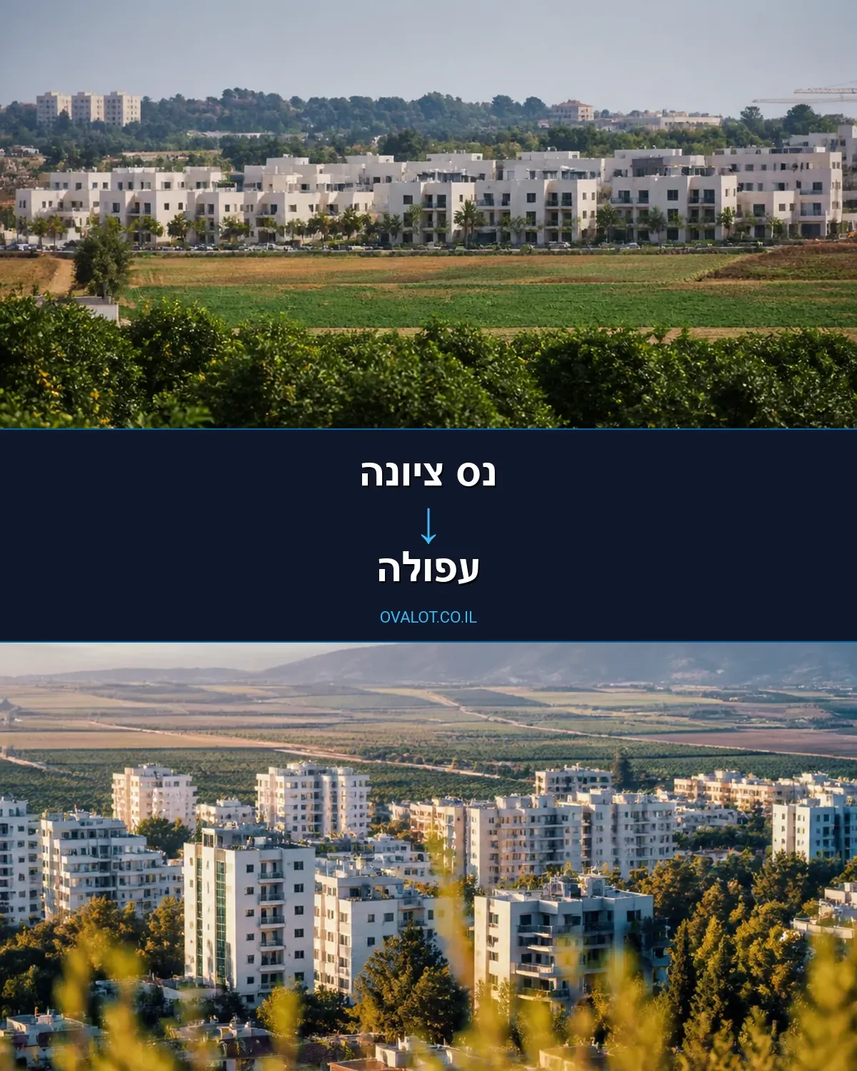 הובלות דירה מנס ציונה לעפולה