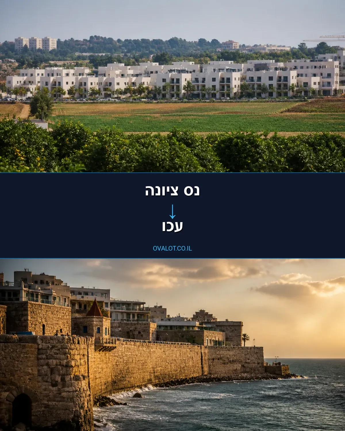 הובלות בתים פרטיים מנס ציונה לעכו