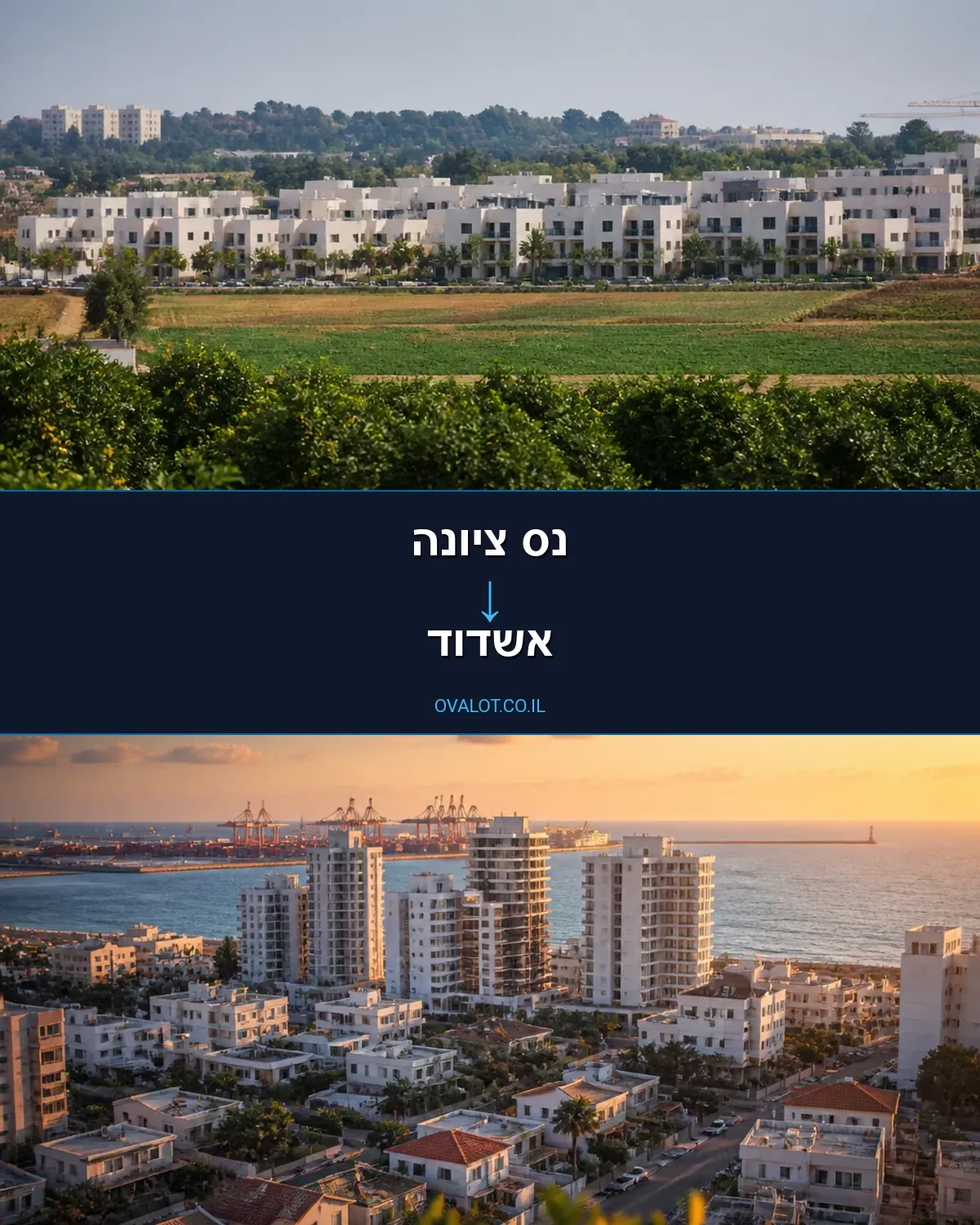 הובלות יצירות אמנות מנס ציונה לאשדוד