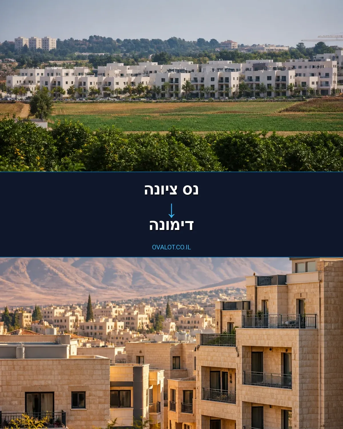 הובלות עם מנוף מנס ציונה לדימונה