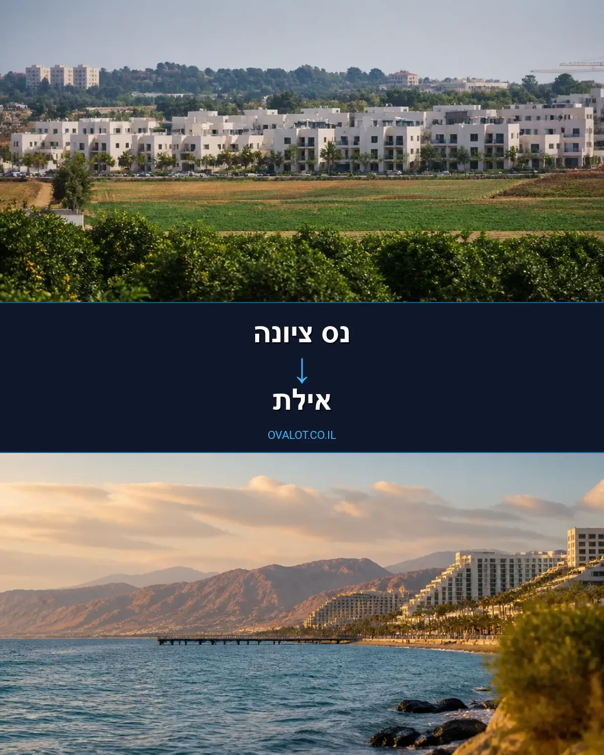 הובלות עם מעלית מנס ציונה לאילת