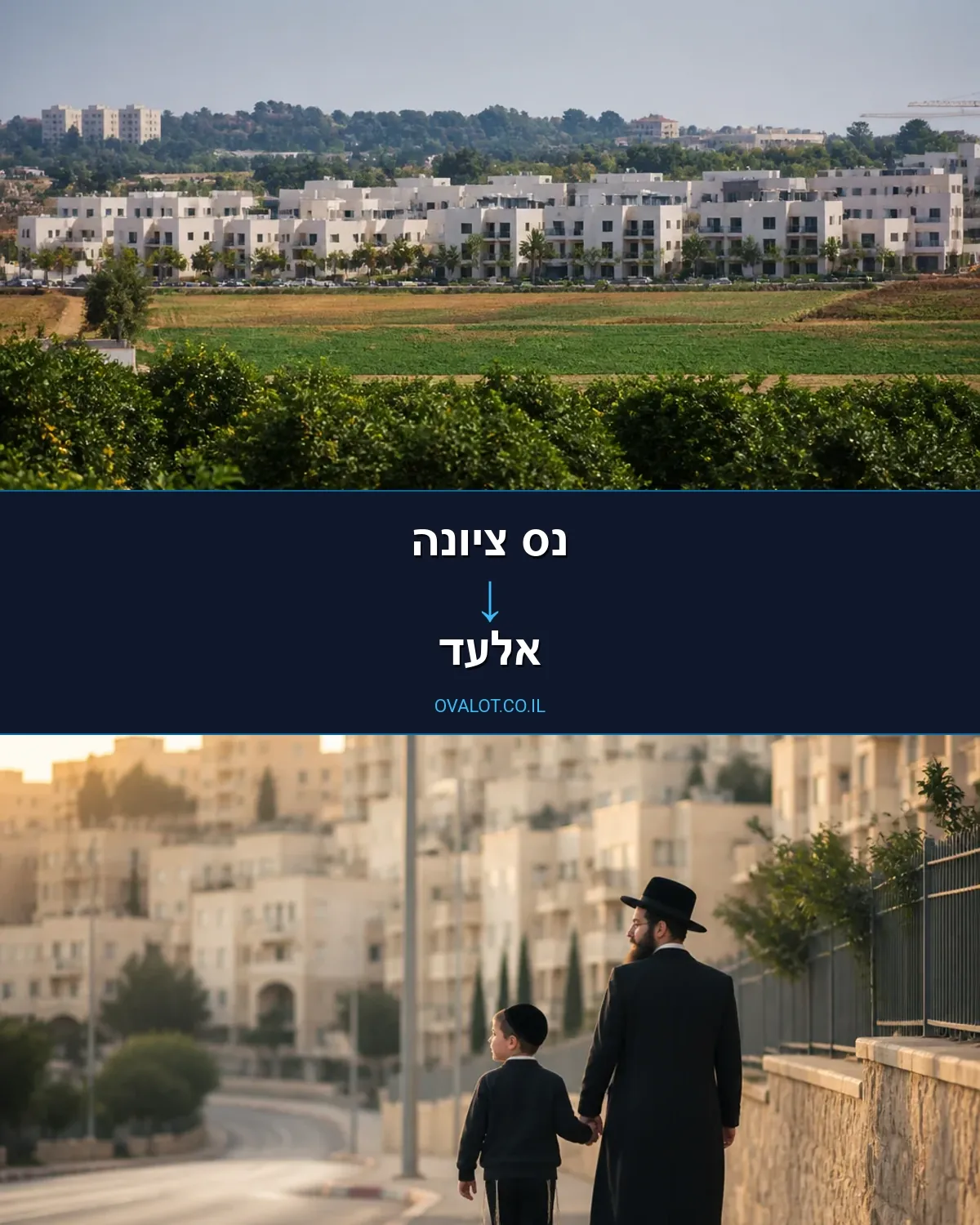 הובלות דירה מנס ציונה לאלעד