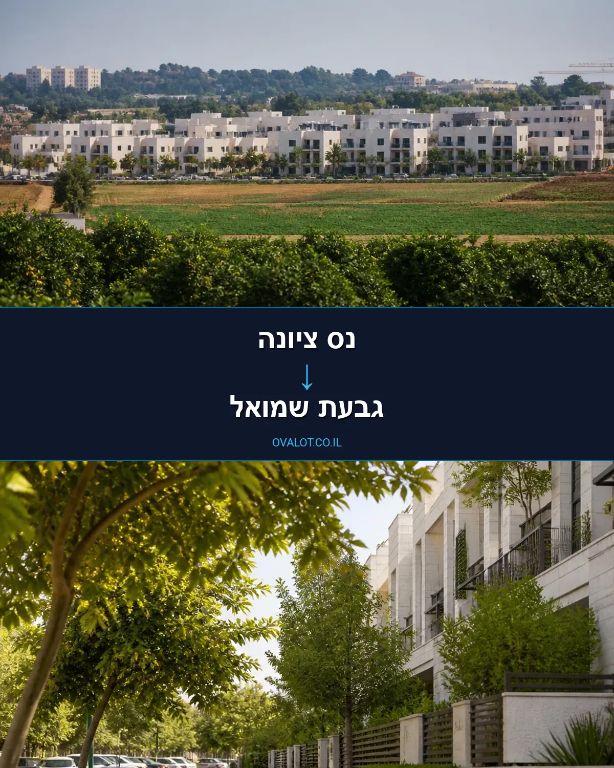 הובלות בתים פרטיים מנס ציונה לגבעת שמואל