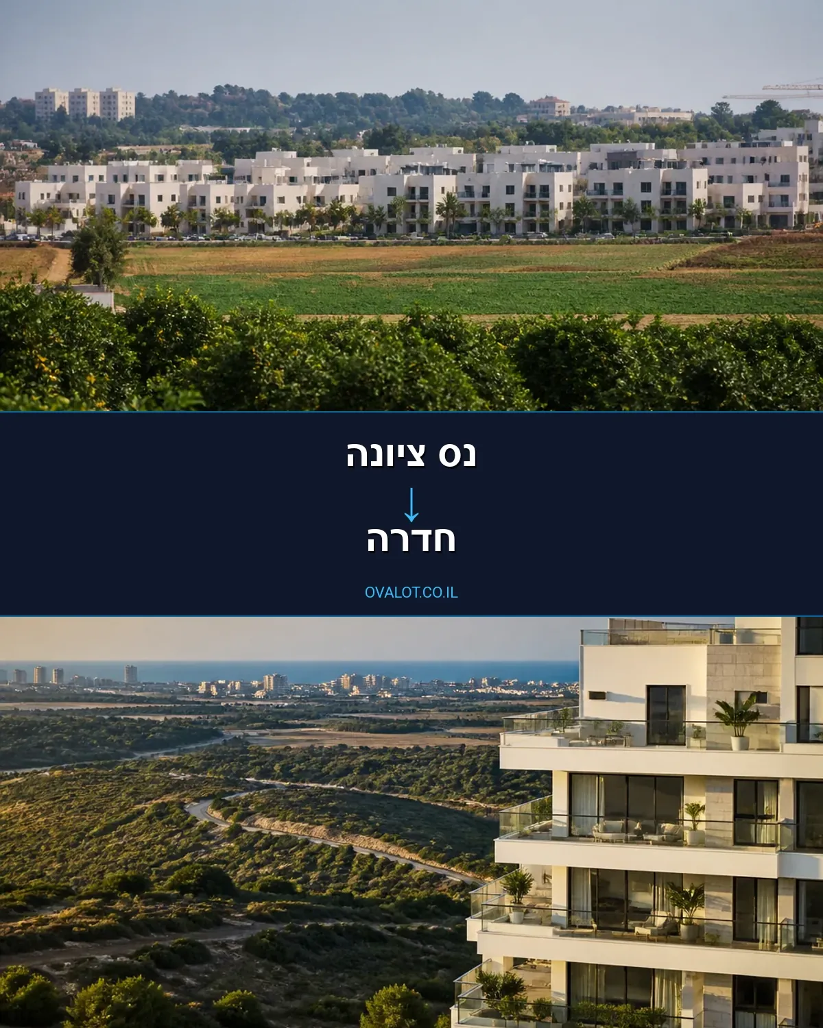 הובלות יצירות אמנות מנס ציונה לחדרה