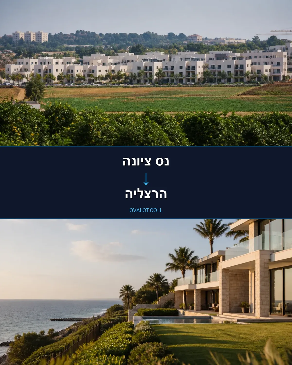 הובלות דירה מנס ציונה להרצליה