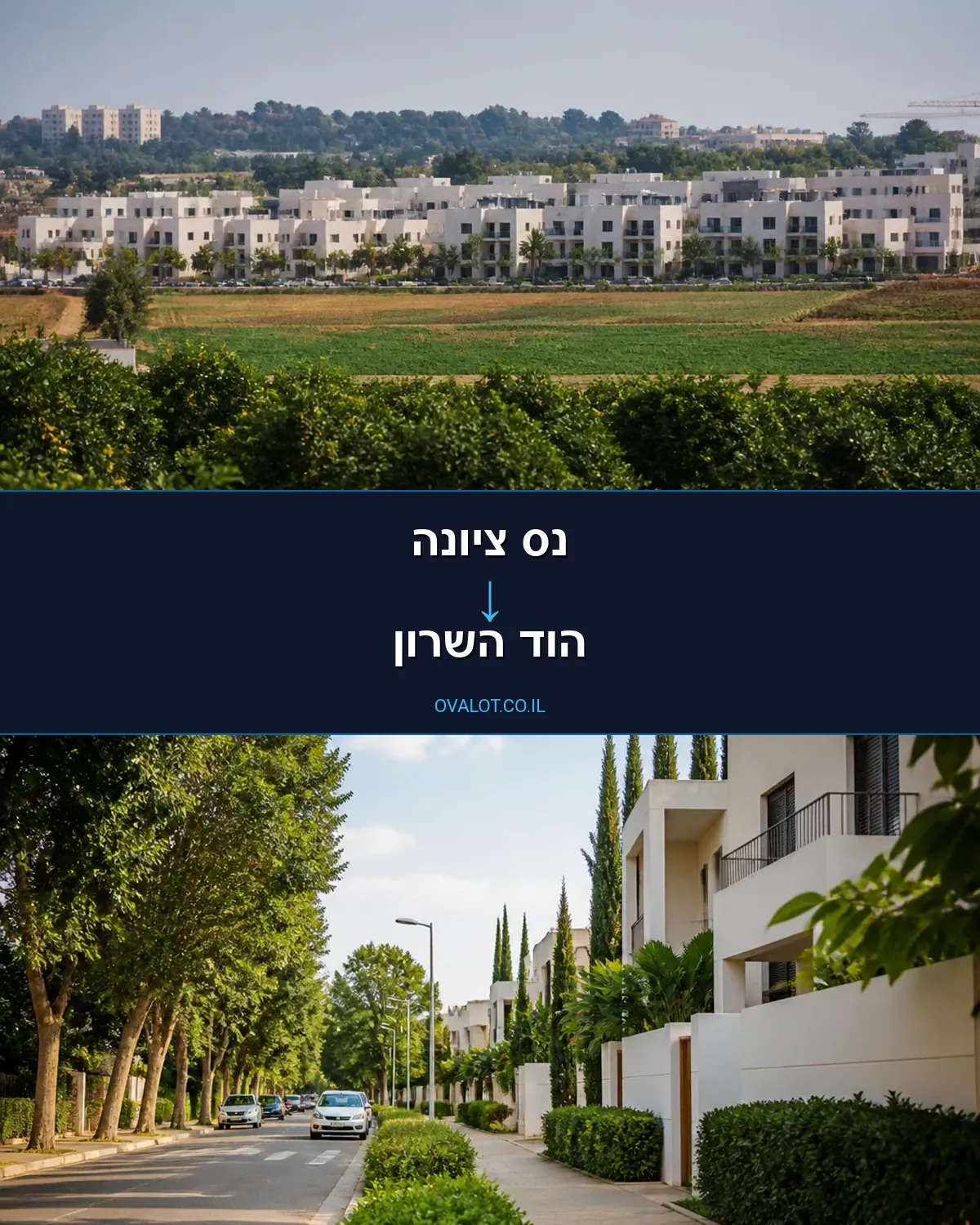 הובלות יצירות אמנות מנס ציונה להוד השרון