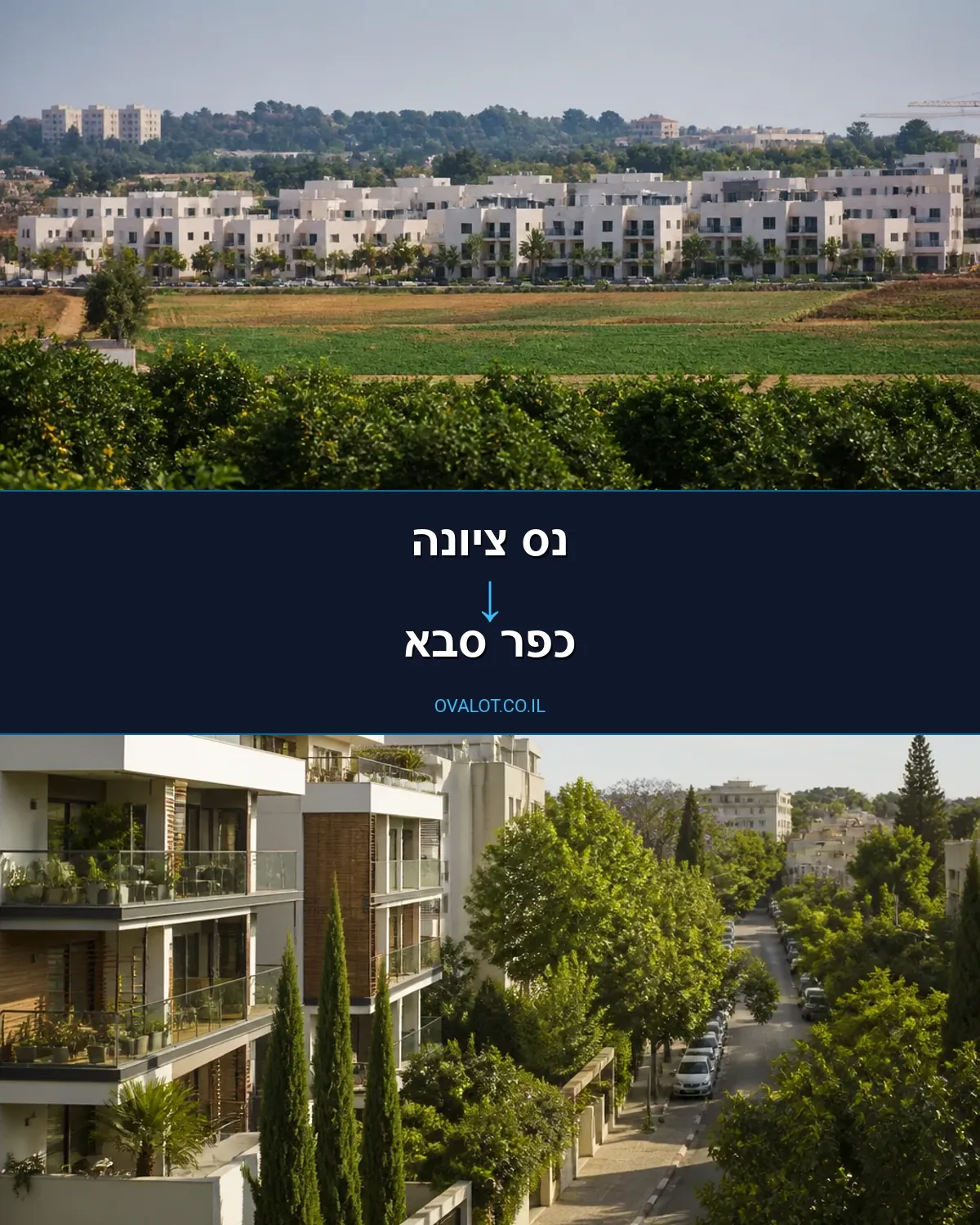 הובלות עם מנוף מנס ציונה לכפר סבא