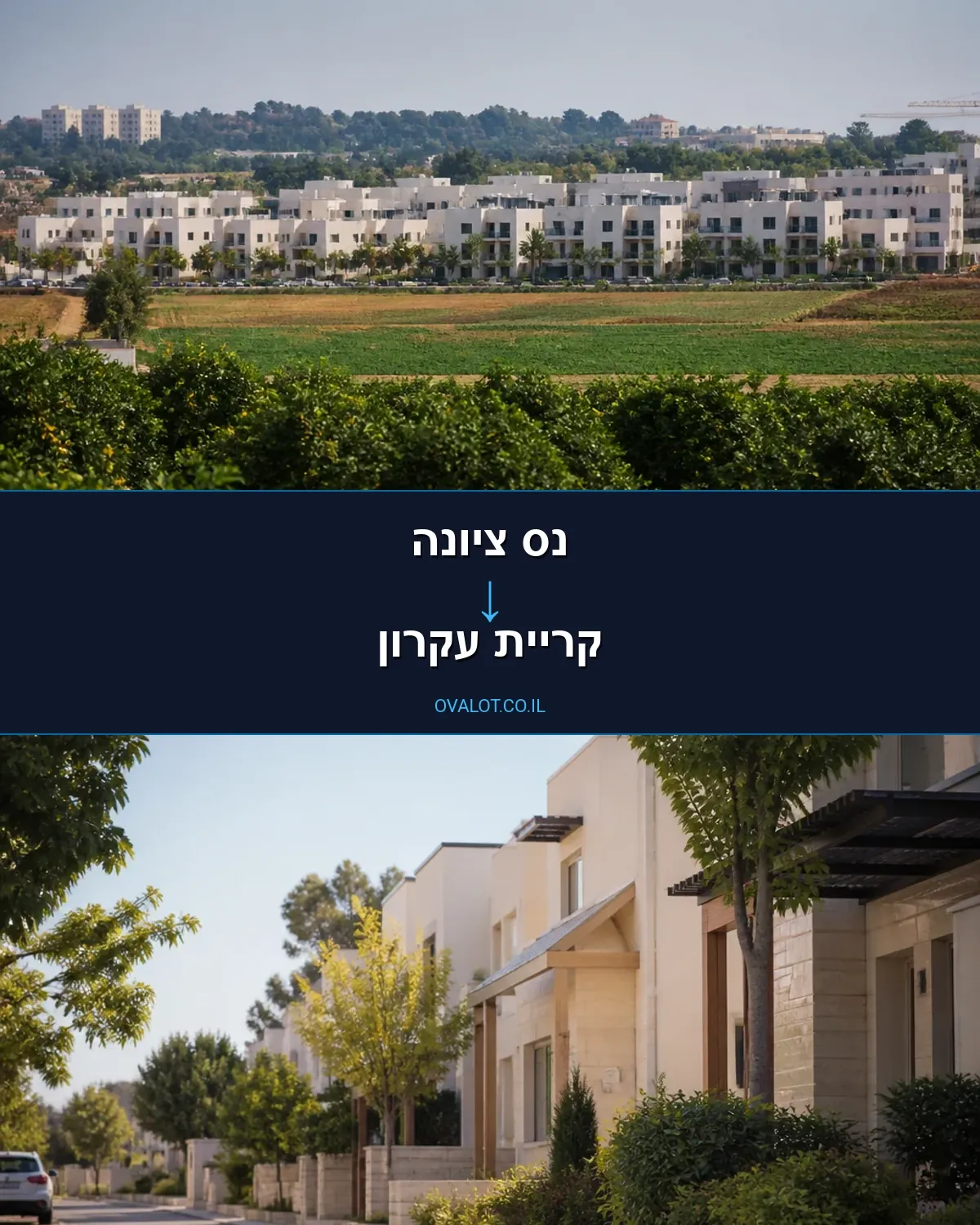 הובלות דירה מנס ציונה לקריית עקרון