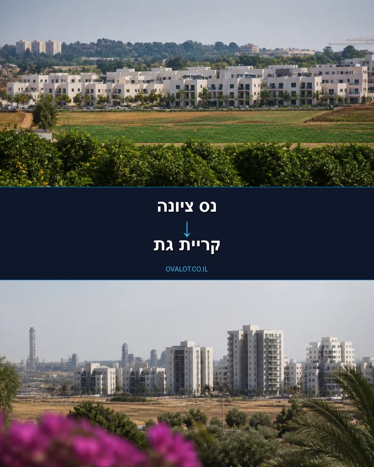 הובלות עם מנוף מנס ציונה לקריית גת