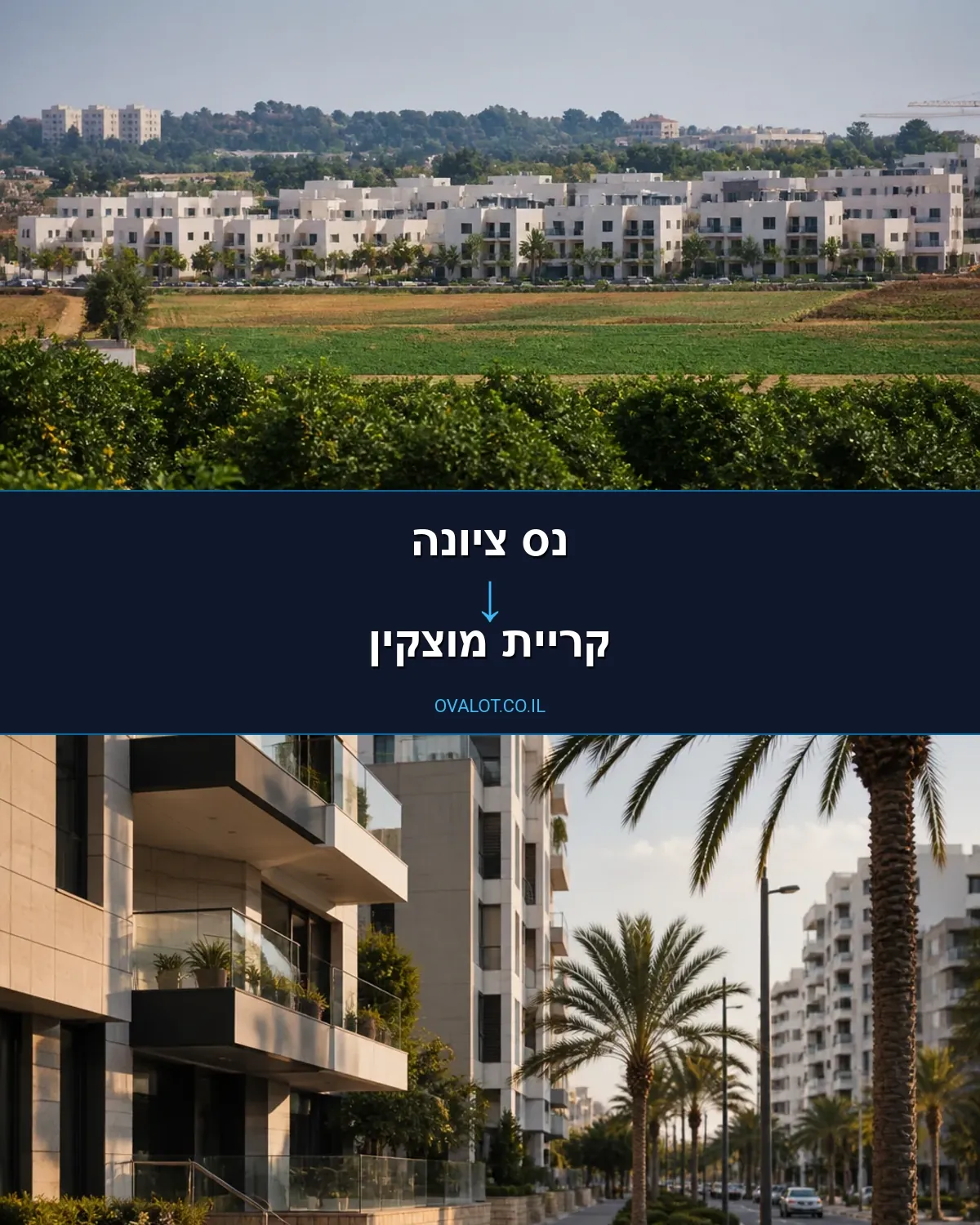 הובלות דירה מנס ציונה לקריית מוצקין