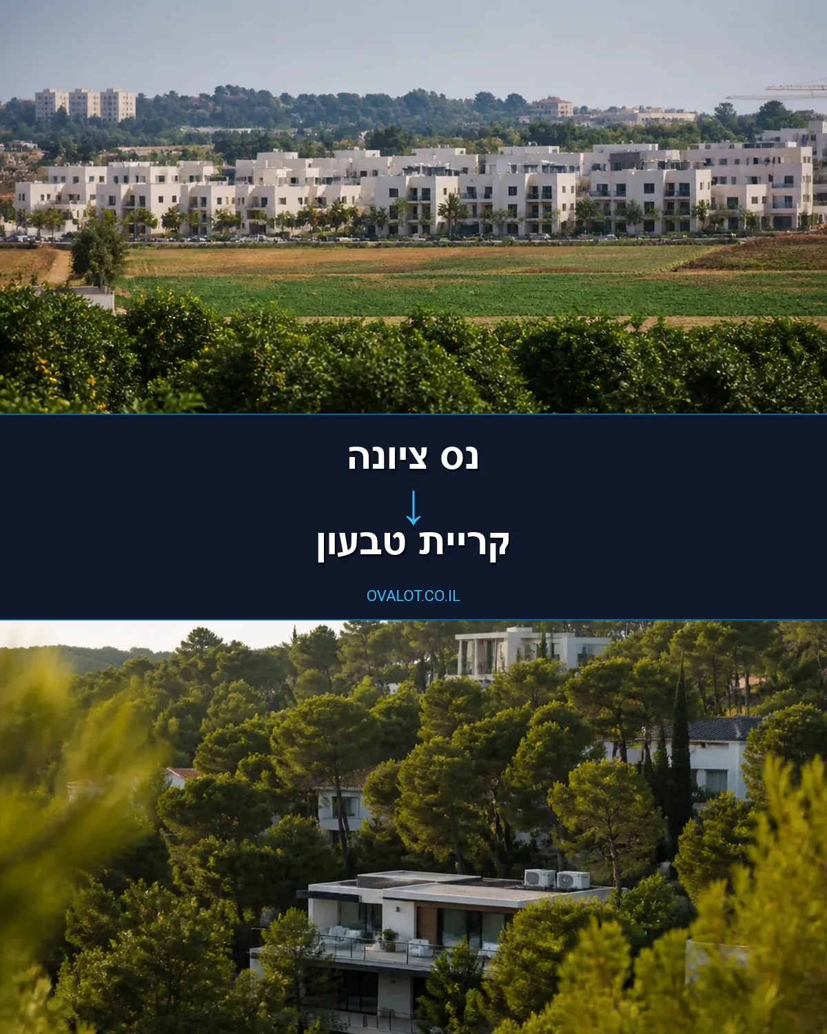 הובלות פסנתרים מנס ציונה לקריית טבעון