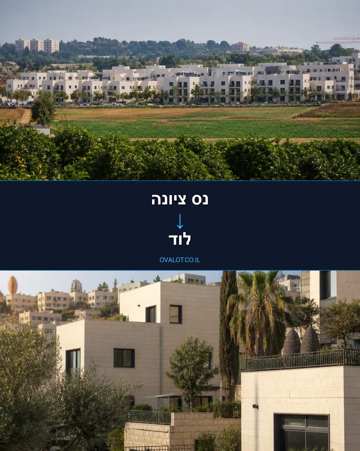 הובלות בתים פרטיים מנס ציונה ללוד