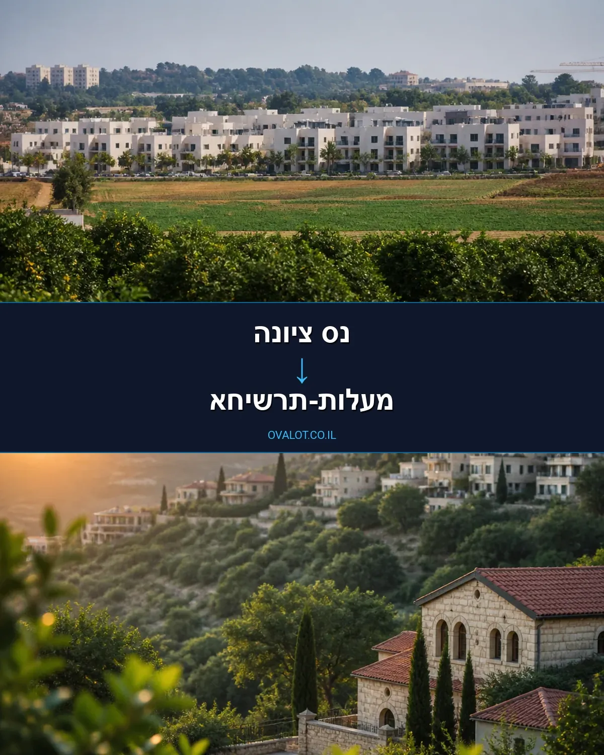 הובלה בקירור מנס ציונה למעלות-תרשיחא