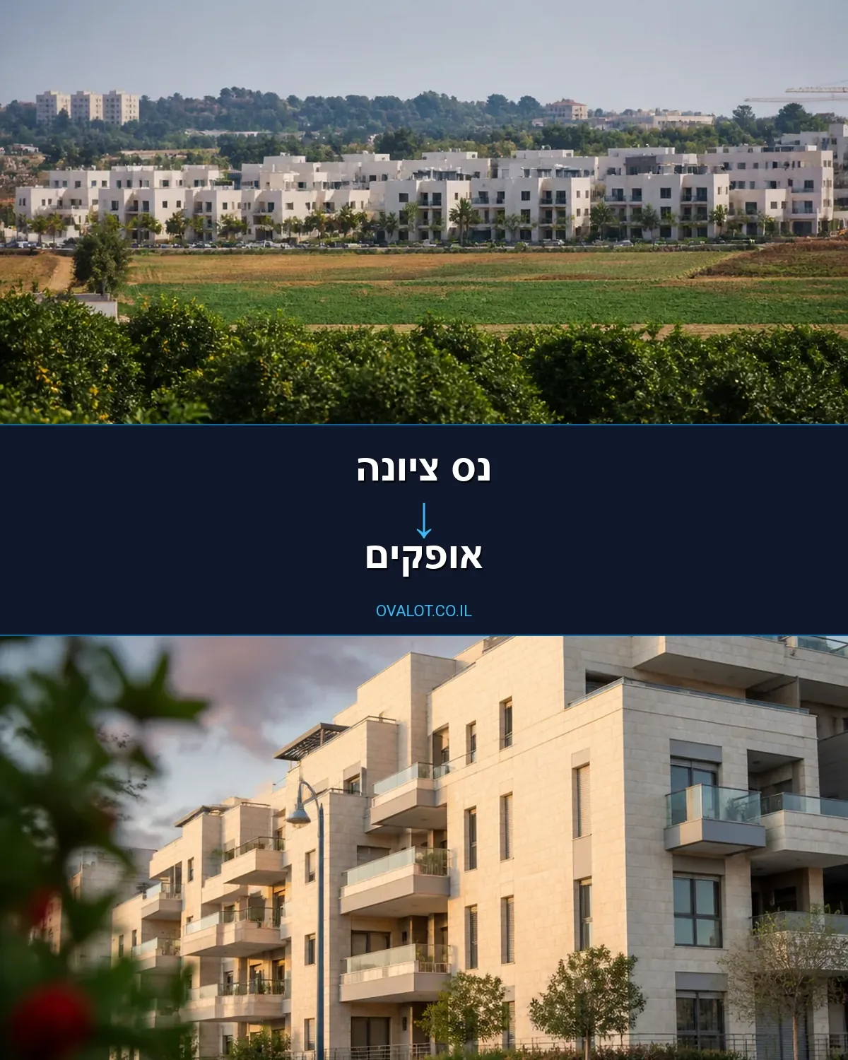 הובלות עם מנוף מנס ציונה לאופקים