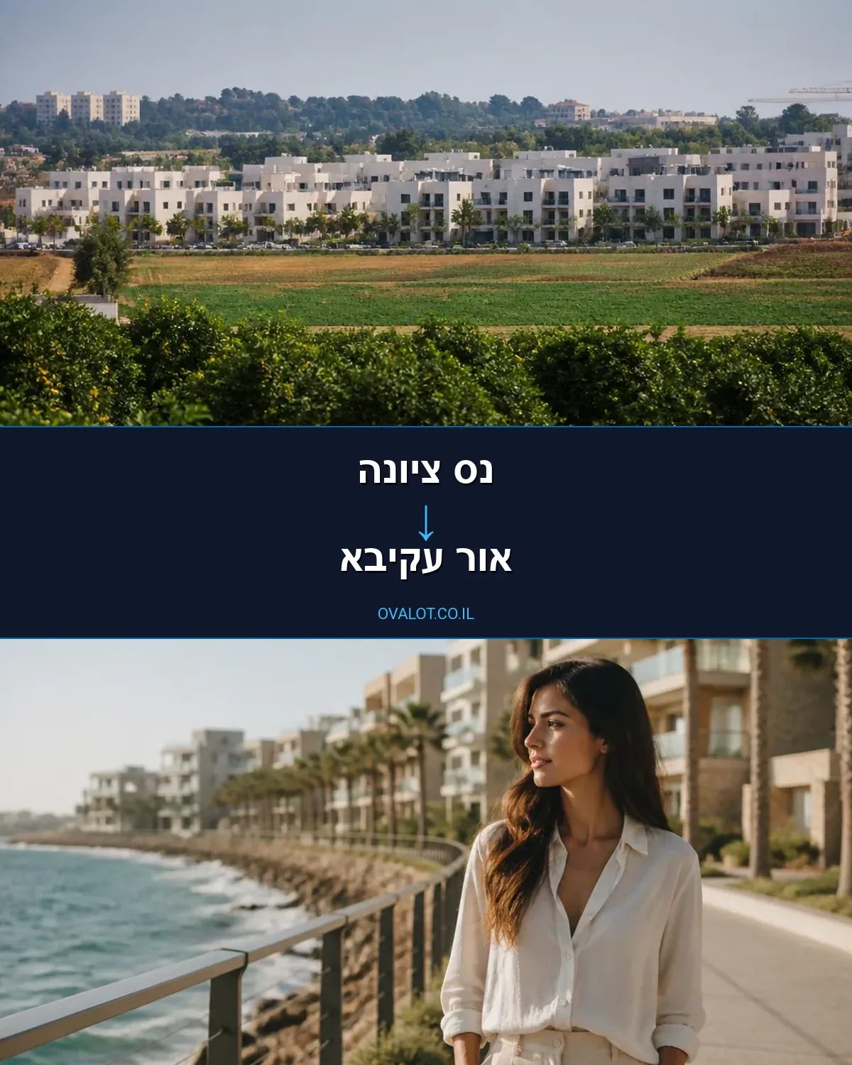 הובלות דירה מנס ציונה לאור עקיבא