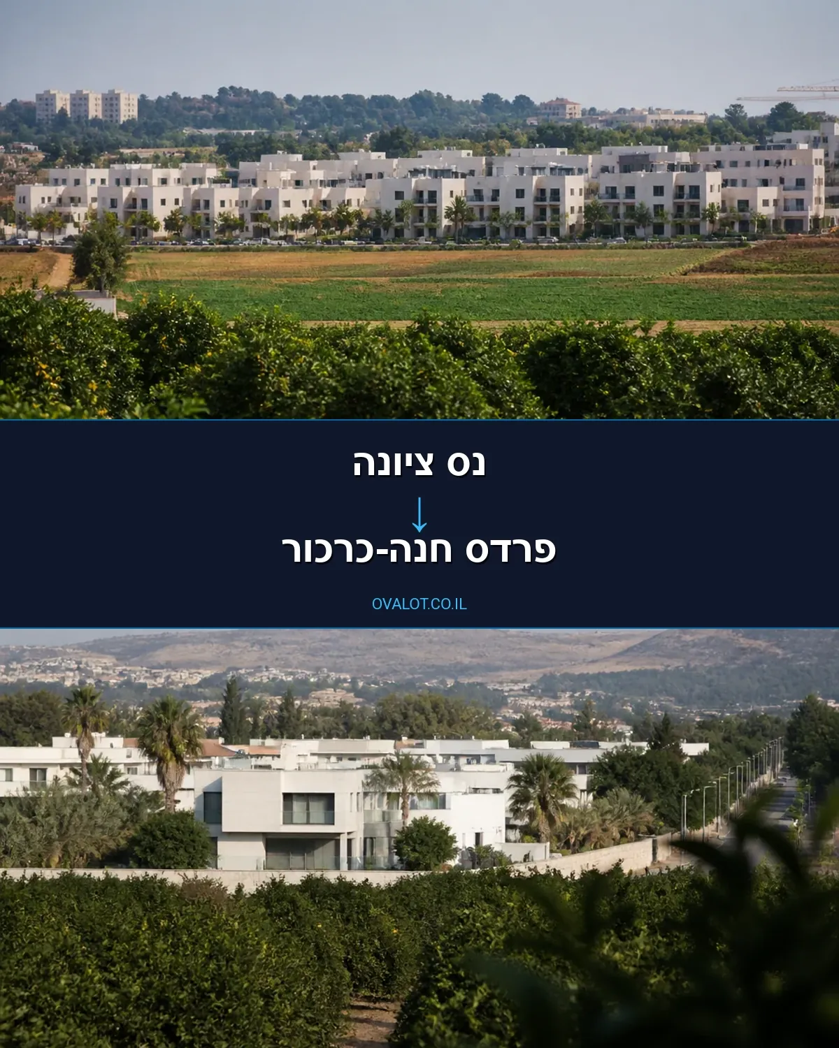 הובלות דירה מנס ציונה לפרדס חנה-כרכור