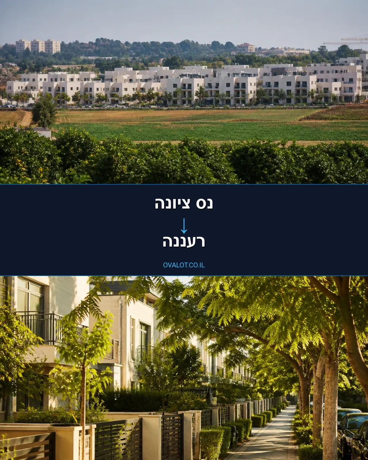 הובלות עם מנוף מנס ציונה לרעננה