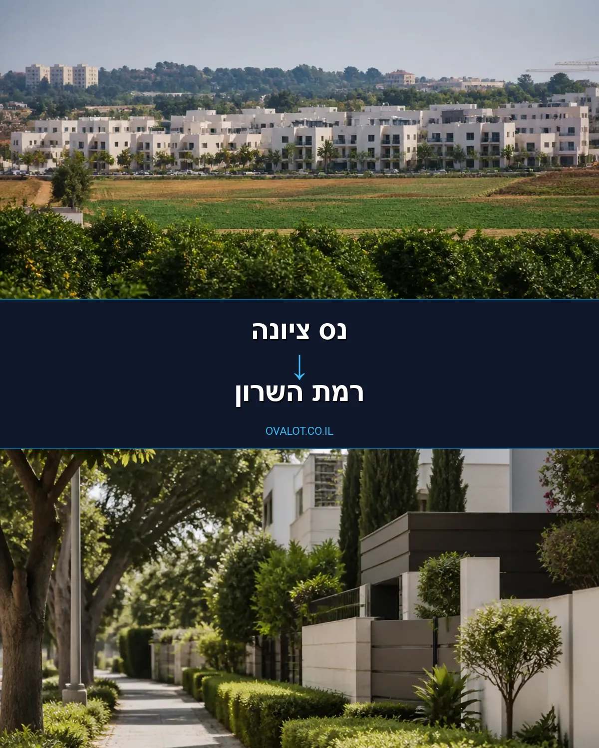 הובלות עם מעלית מנס ציונה לרמת השרון