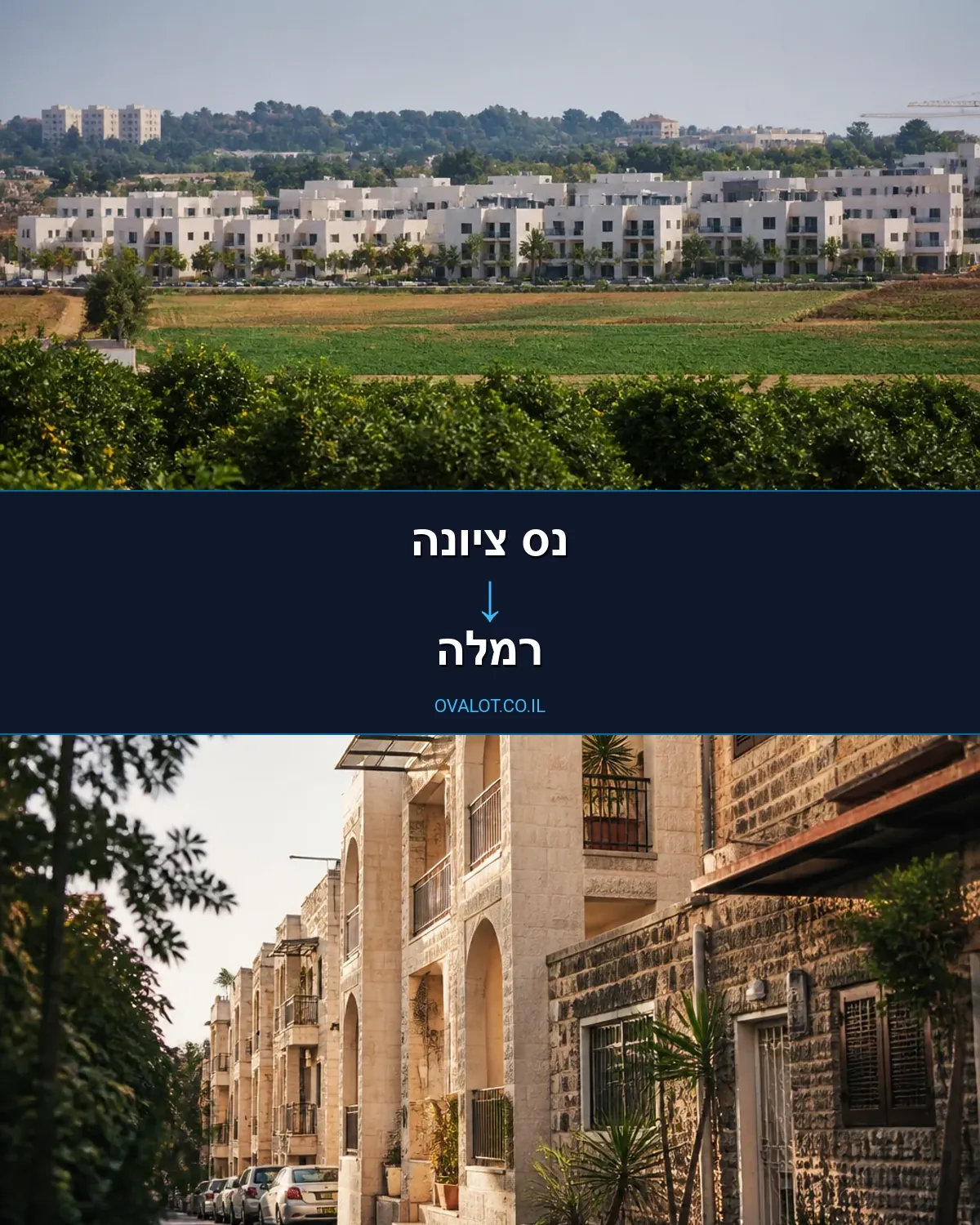 הובלות עם מעלית מנס ציונה לרמלה