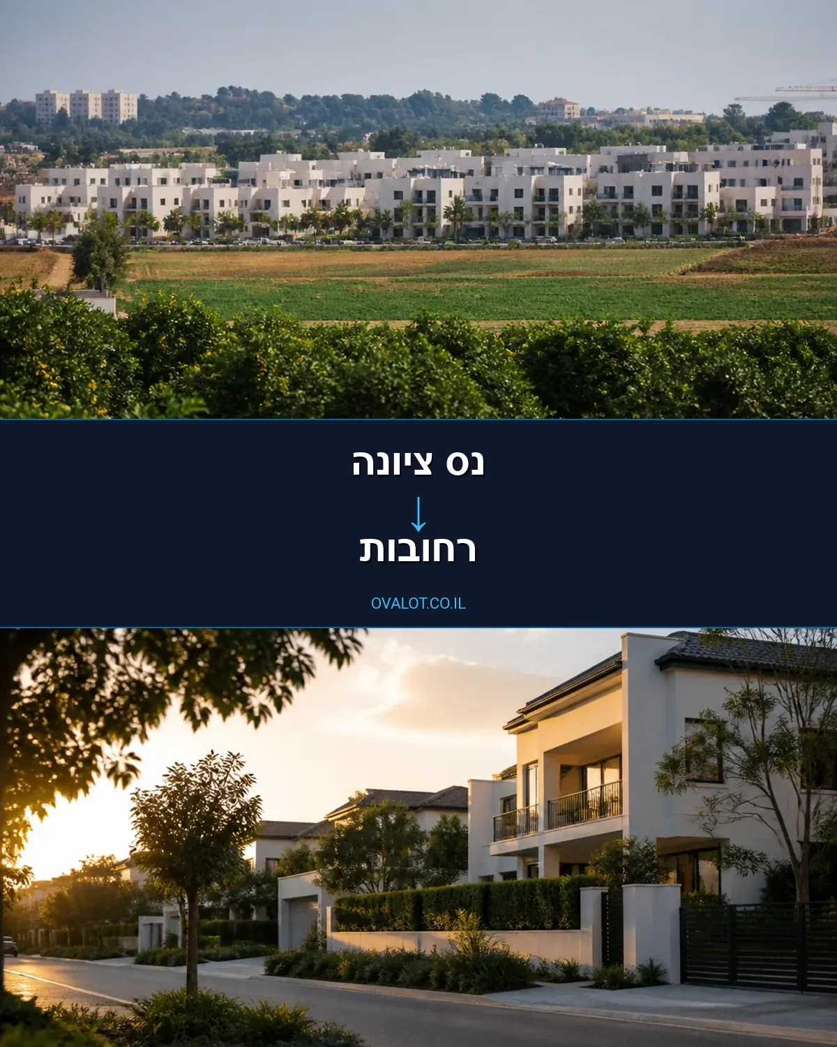 הובלות דירה מנס ציונה לרחובות