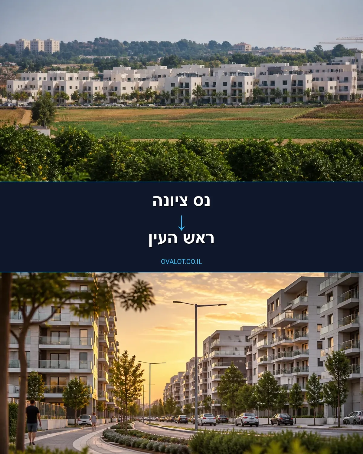 הובלות דירה מנס ציונה לראש העין