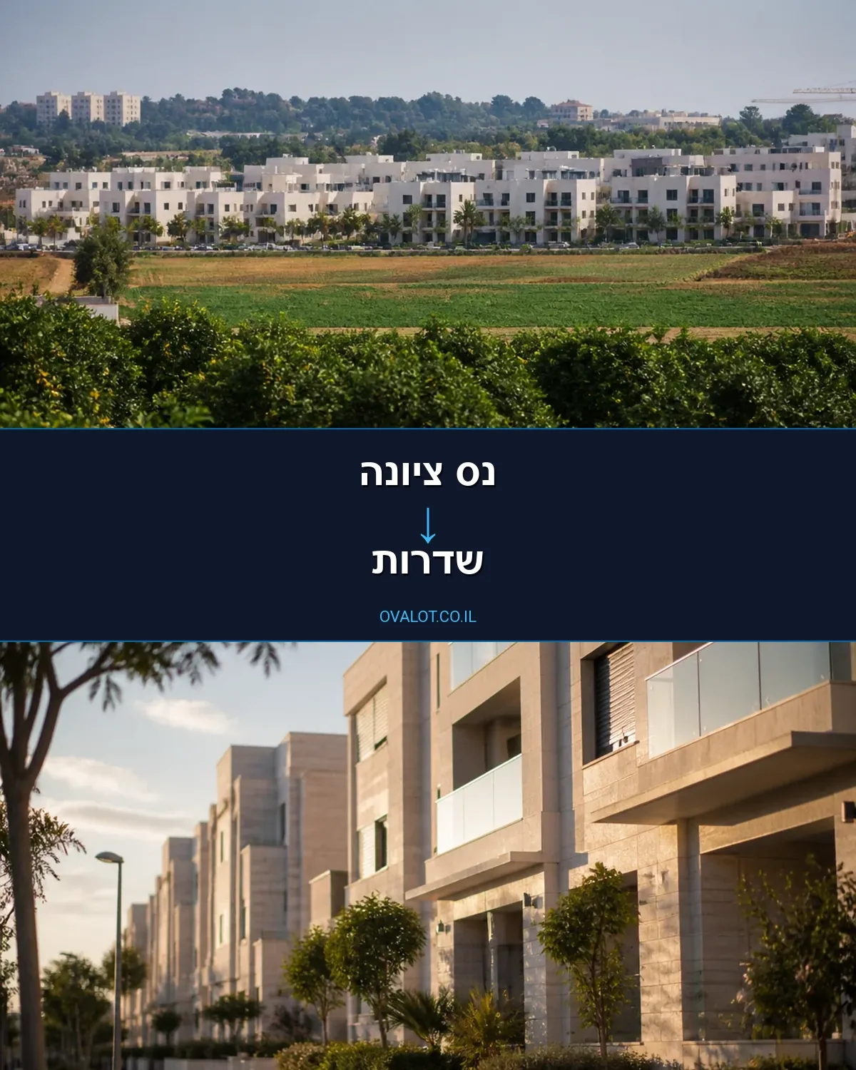 הובלות דירה מנס ציונה לשדרות