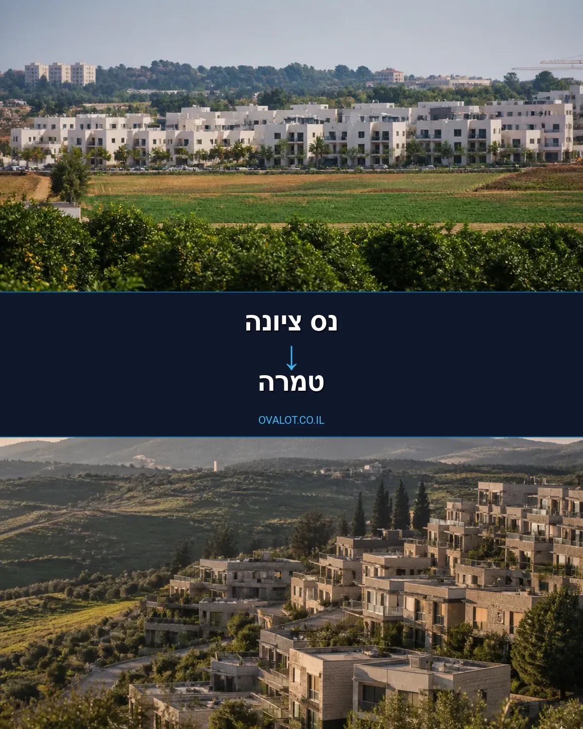 הובלות דירה מנס ציונה לטמרה