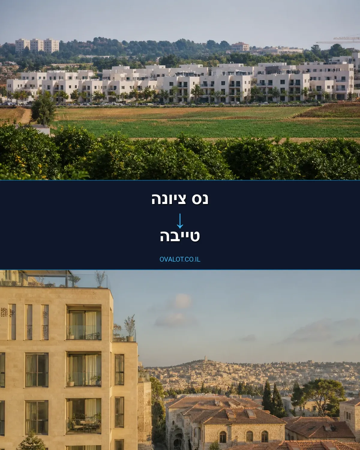 הובלות דירה מנס ציונה לטייבה