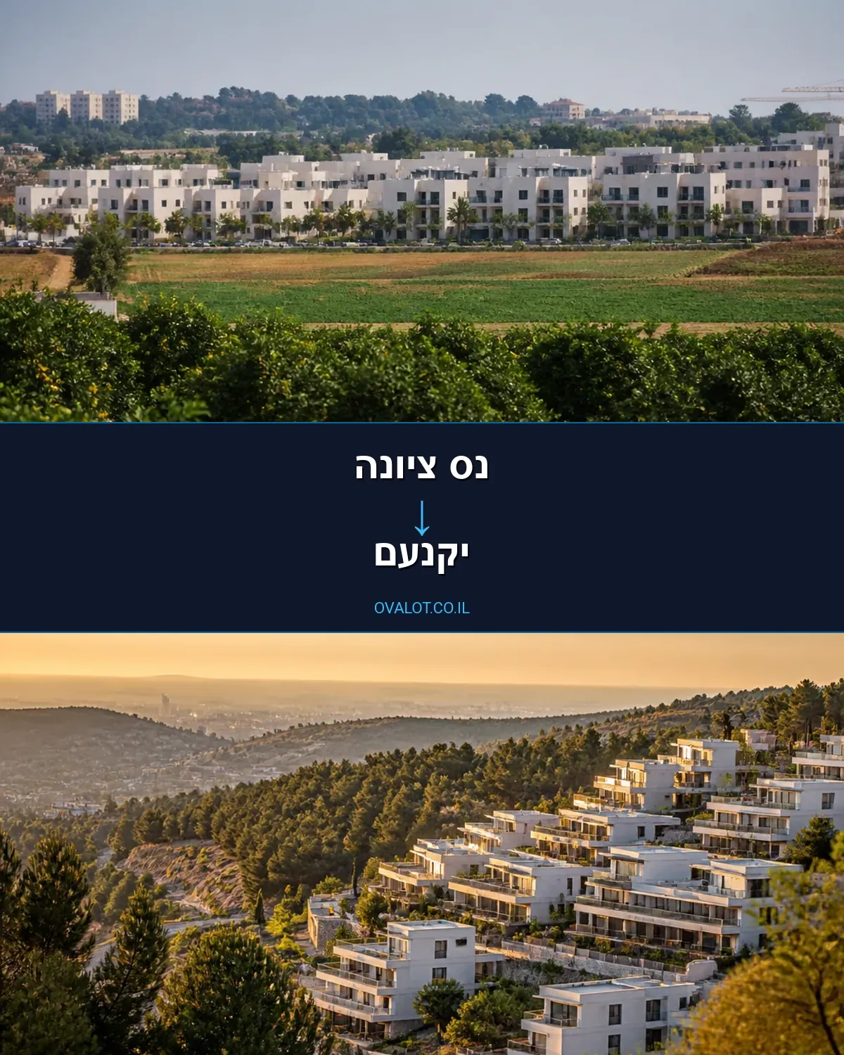 הובלות בתים פרטיים מנס ציונה ליקנעם
