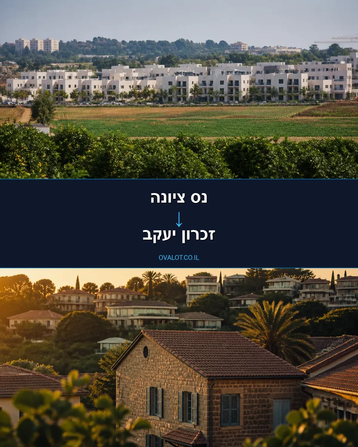 הובלות דירה מנס ציונה לזכרון יעקב