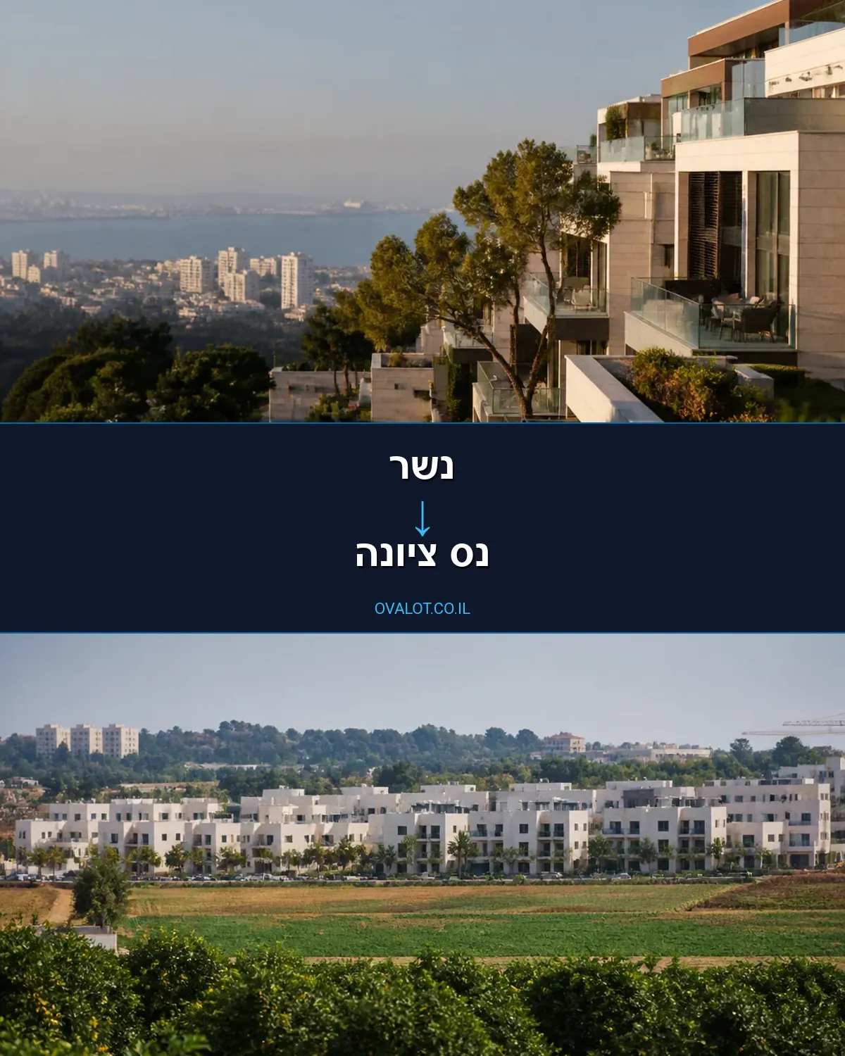 הובלות עם מנוף מנשר לנס ציונה