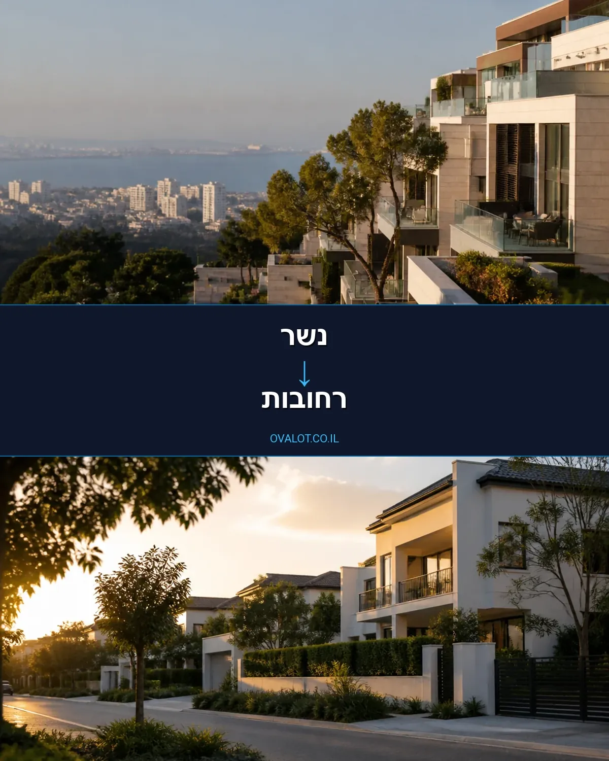 הובלות עם מנוף מנשר לרחובות