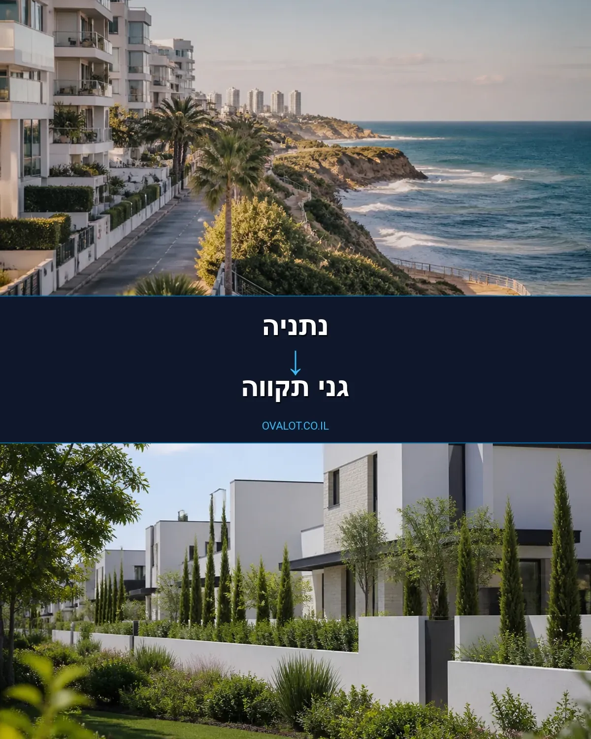 שירותי אריזה מנתניה לגני תקווה