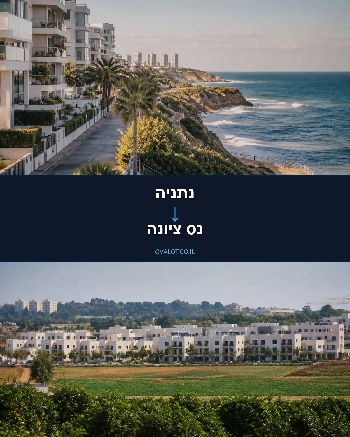 הובלות בתים פרטיים מנתניה לנס ציונה