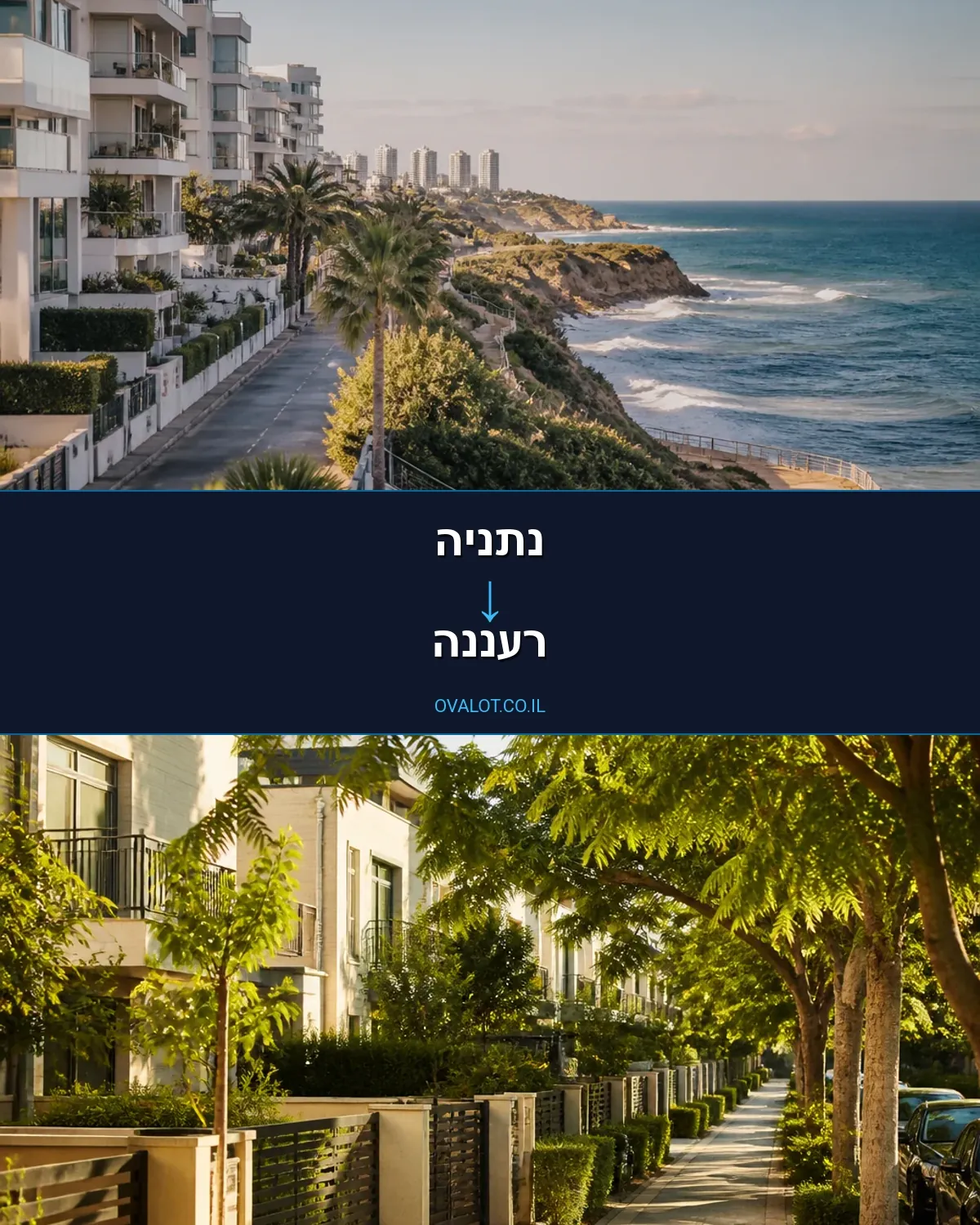 הובלות יצירות אמנות מנתניה לרעננה