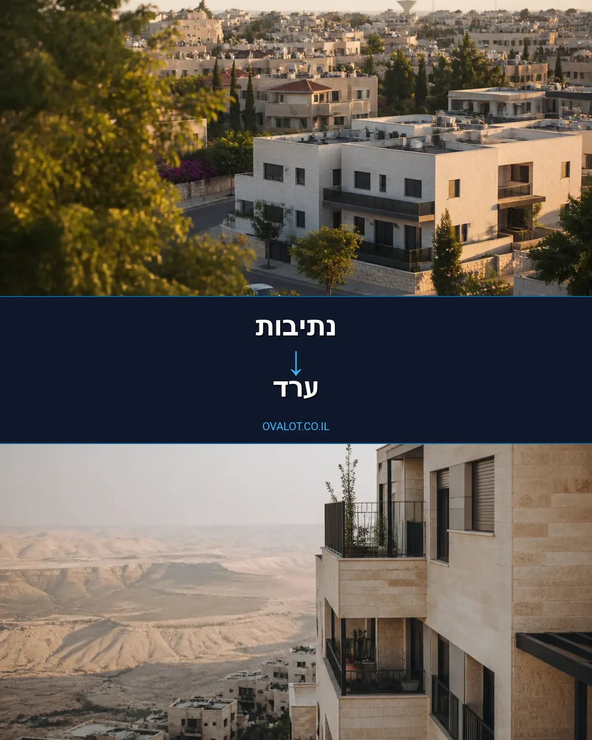 הובלה בקירור מנתיבות לערד
