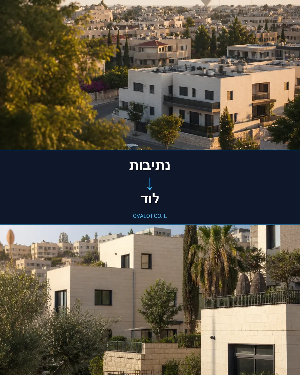 הובלות יצירות אמנות מנתיבות ללוד