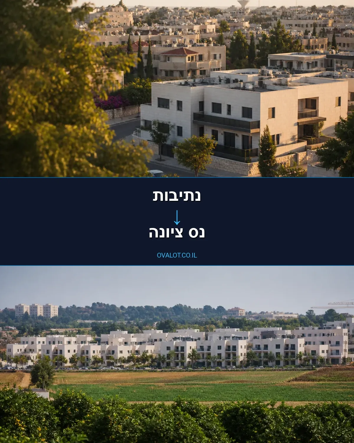 הובלות עם מנוף מנתיבות לנס ציונה