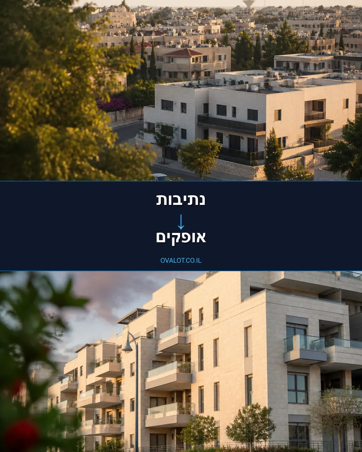 הובלות יצירות אמנות מנתיבות לאופקים