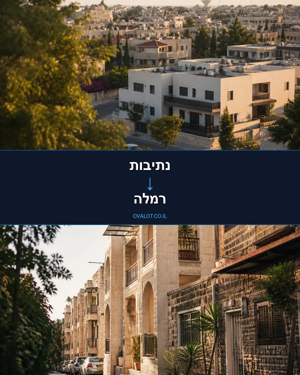 הובלות יצירות אמנות מנתיבות לרמלה