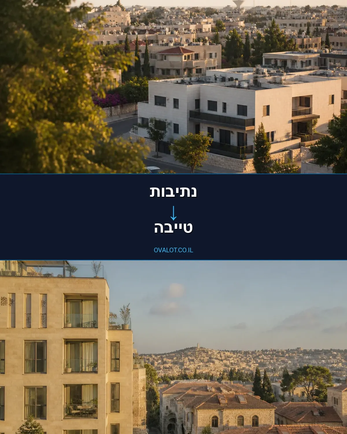 הובלות יצירות אמנות מנתיבות לטייבה