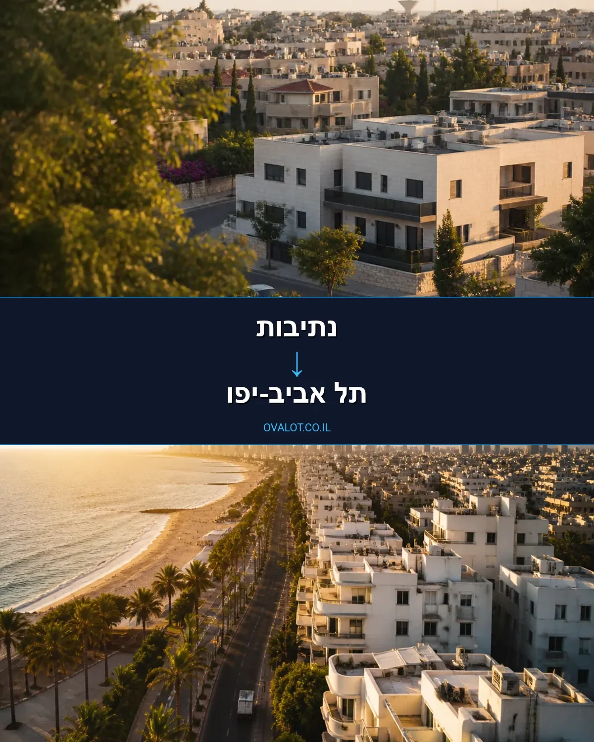 הובלות עם מנוף מנתיבות לתל אביב-יפו