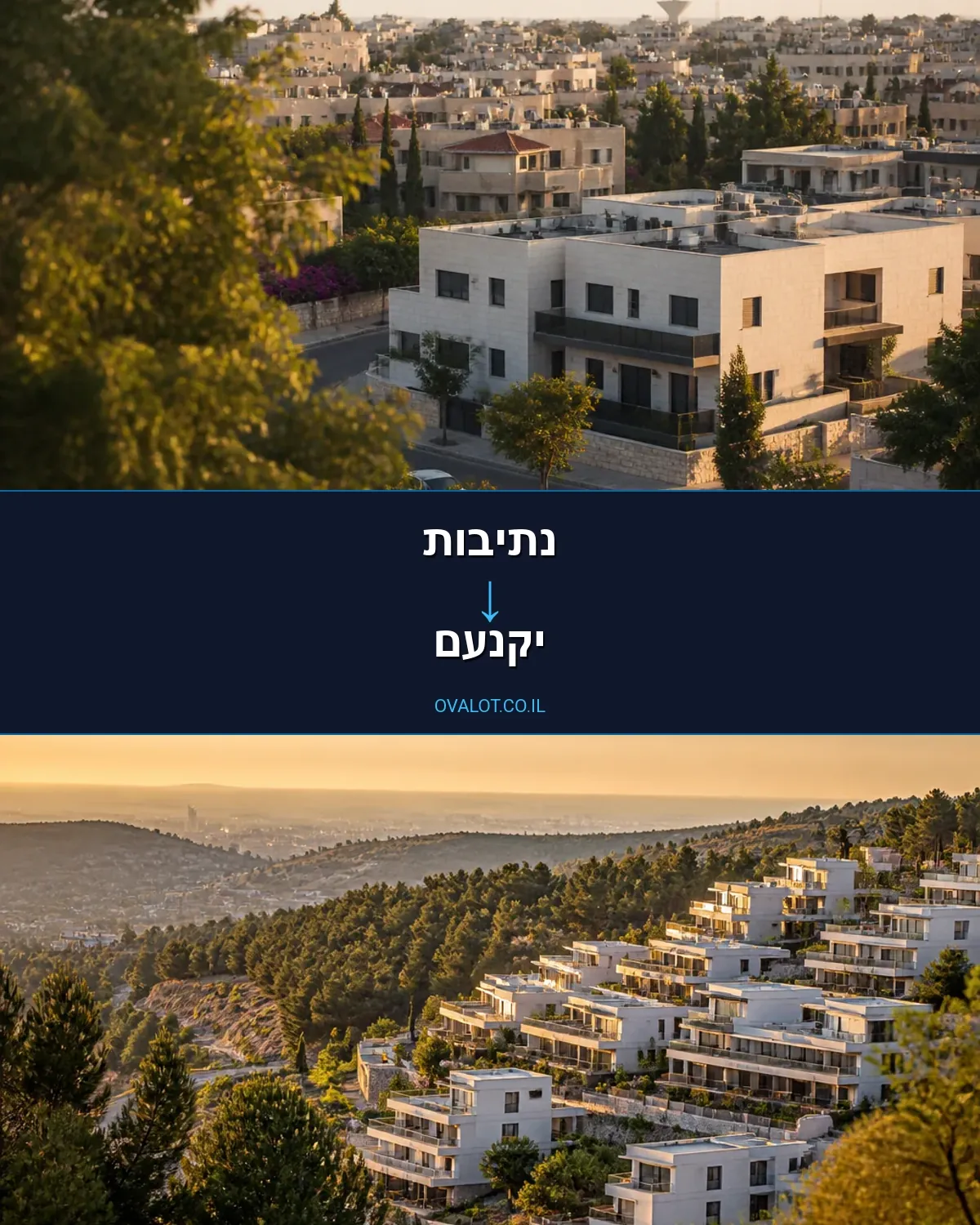 הובלה בקירור מנתיבות ליקנעם