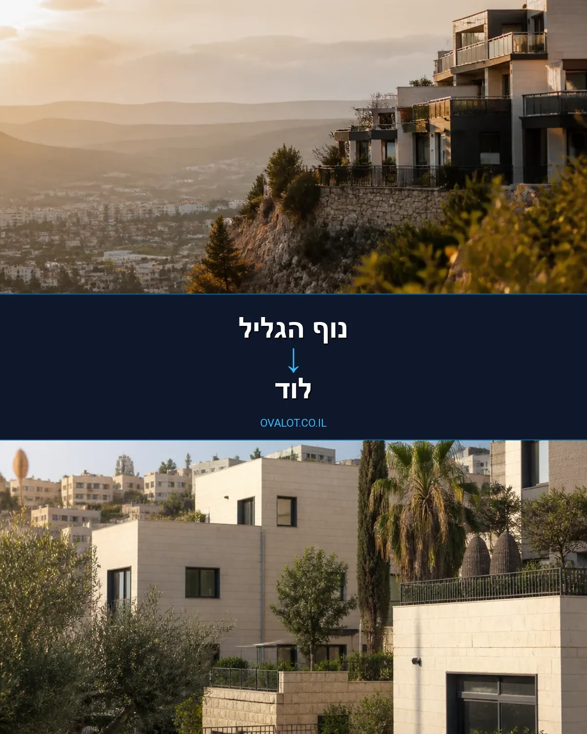 הובלות דירה מנוף הגליל ללוד