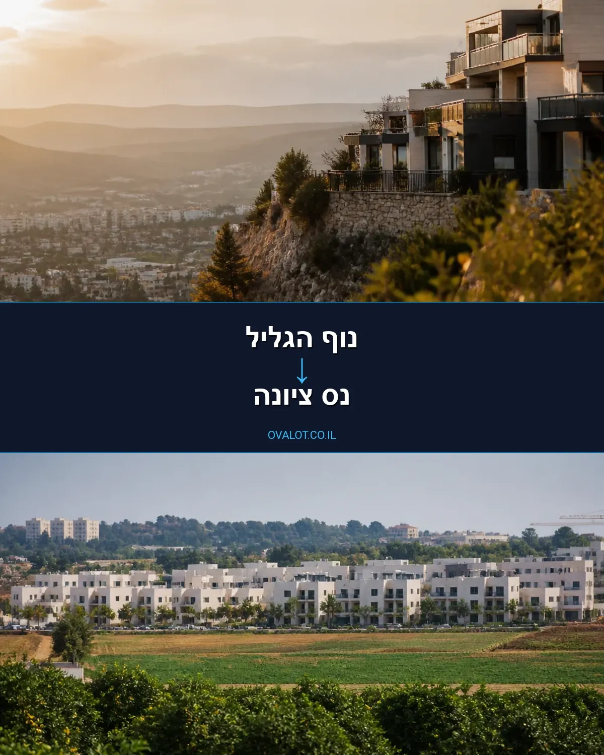 הובלות יצירות אמנות מנוף הגליל לנס ציונה